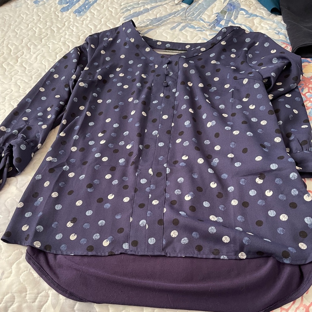 Fortune & Ivy long sleeved  blue blouse. Loose fitting Size L.